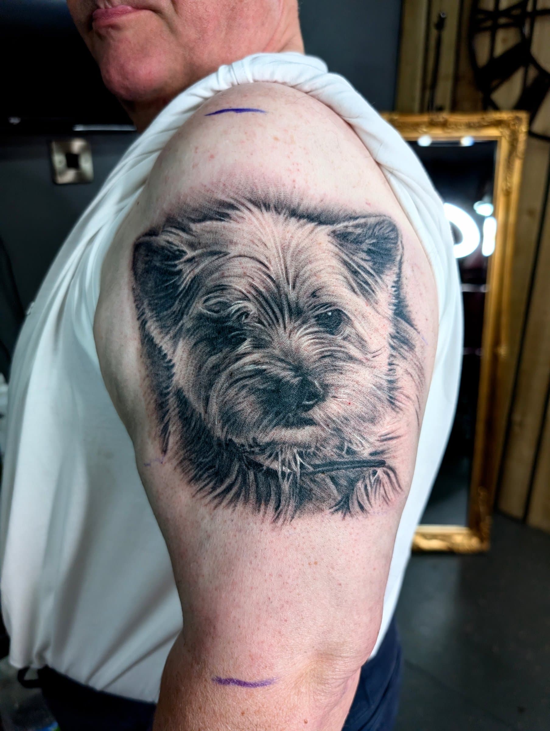 Realistic black and grey dog portrait with detailed fur on the upper arm