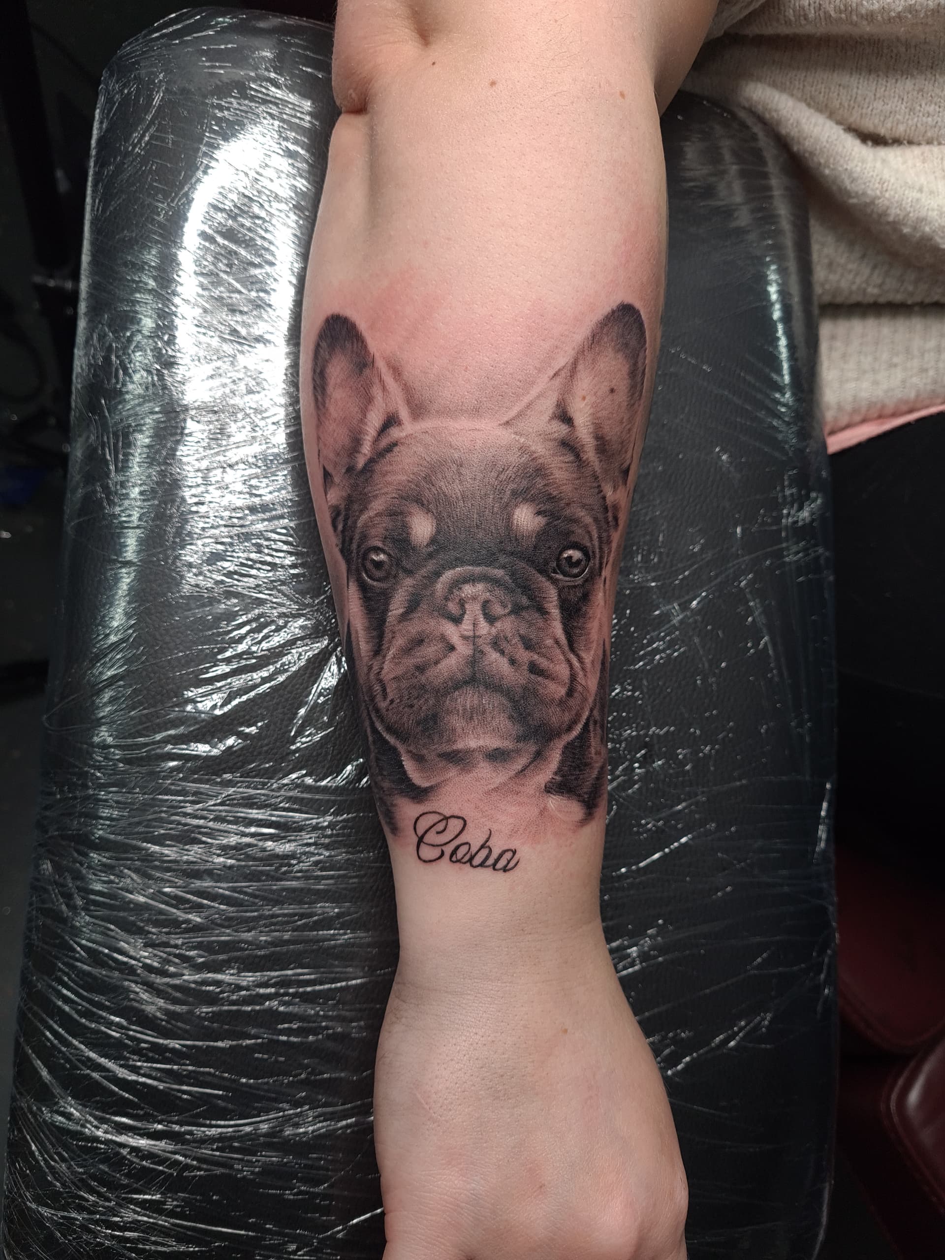 Realistic black and grey tattoo of a French Bulldog on the forearm with the name Coba.