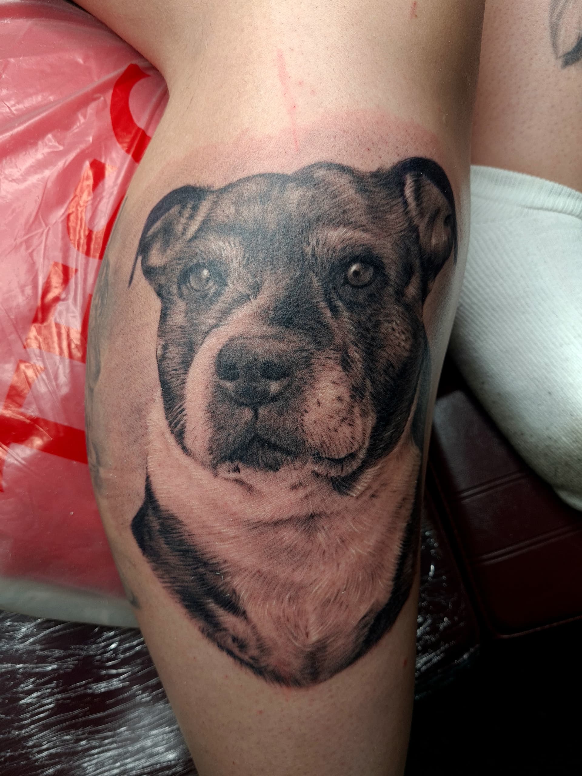 Detailed black and grey realism tattoo of a dog's face on the leg.
