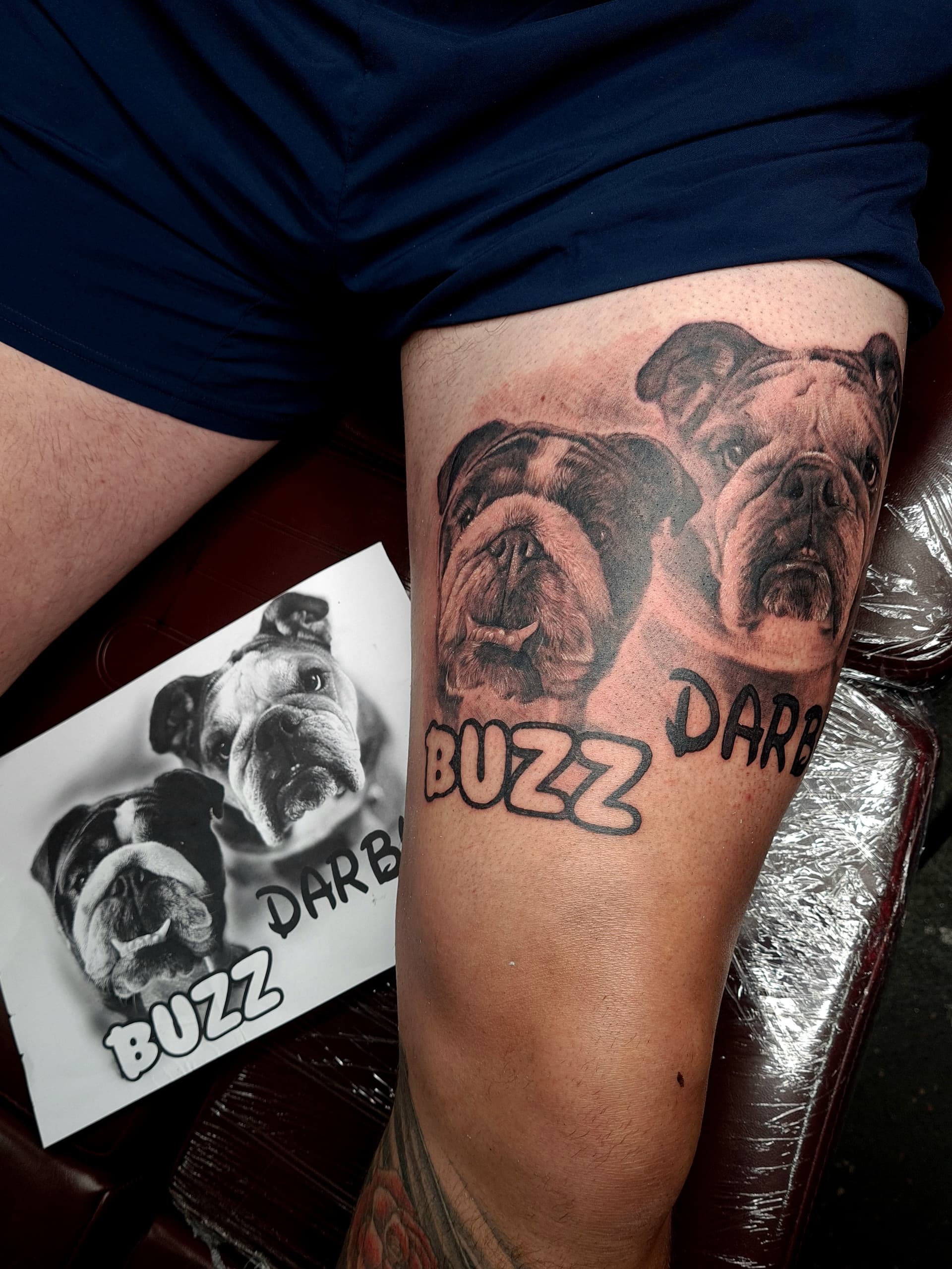 Realistic black grey tattoo of two bulldogs on thigh, with names 'BUZZ' and 'DARB'.