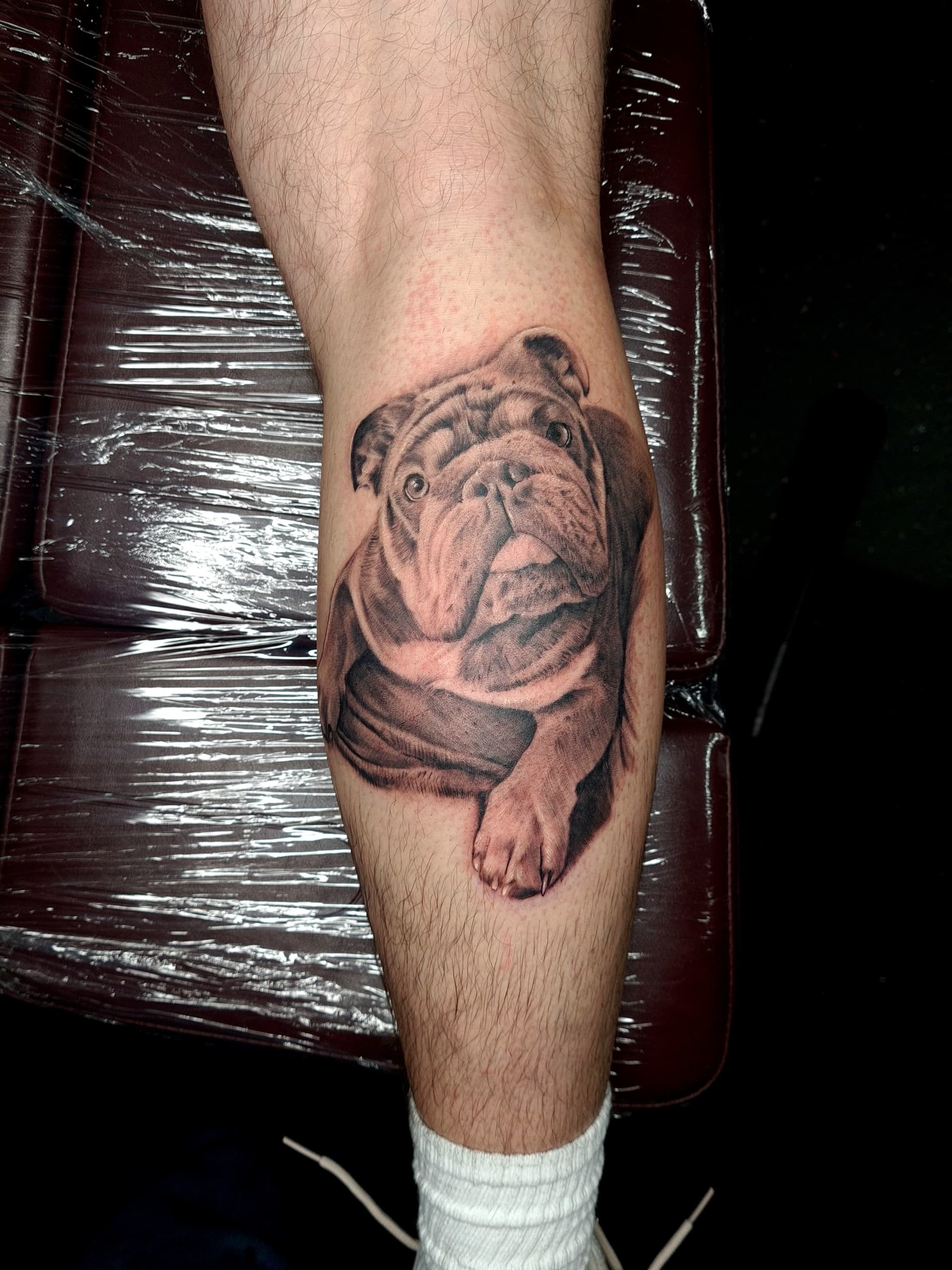 Realistic black and grey tattoo of a bulldog on leg, showcasing detail and texture.
