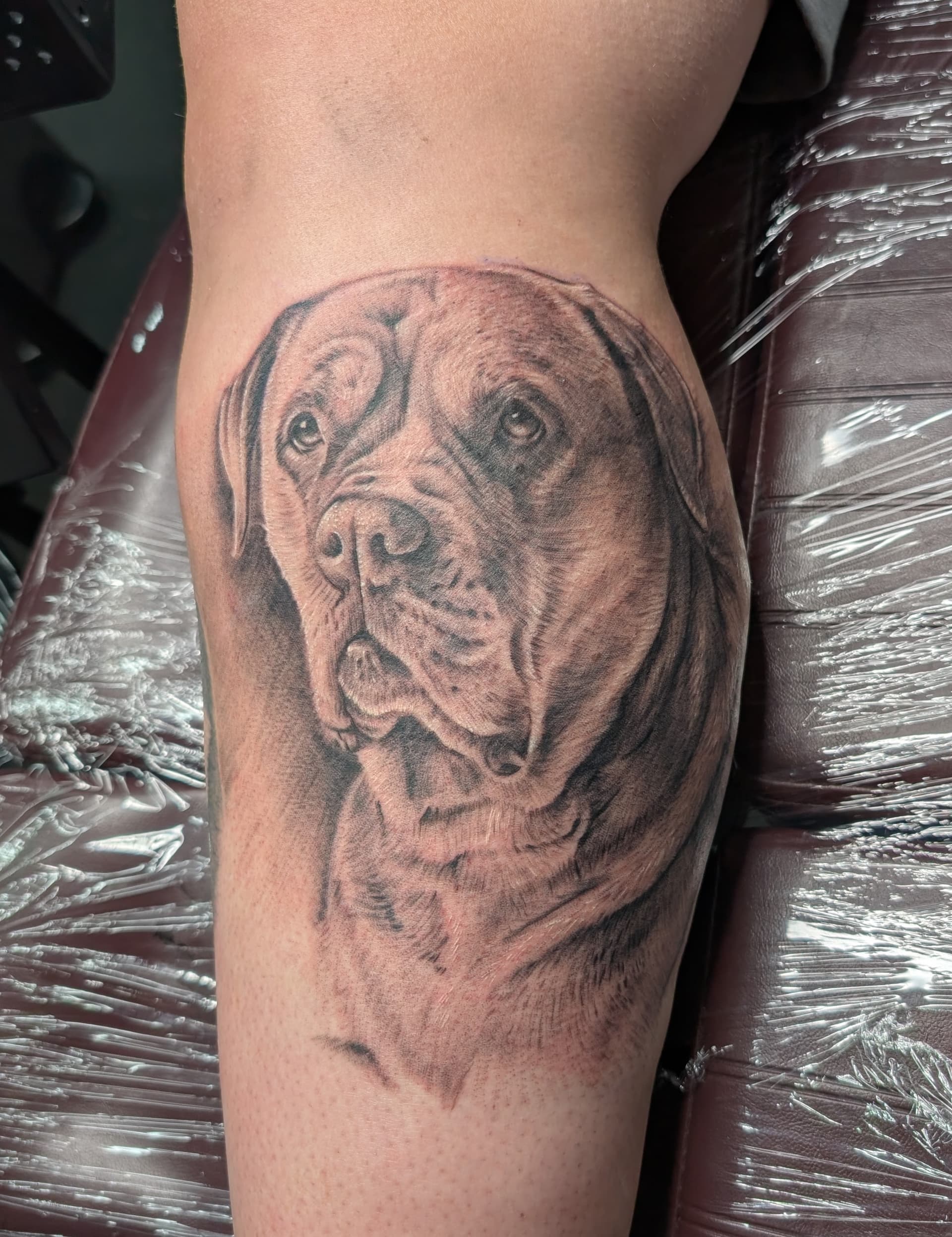 Realistic black and grey tattoo of a dog on the leg, showcasing detail and shading.
