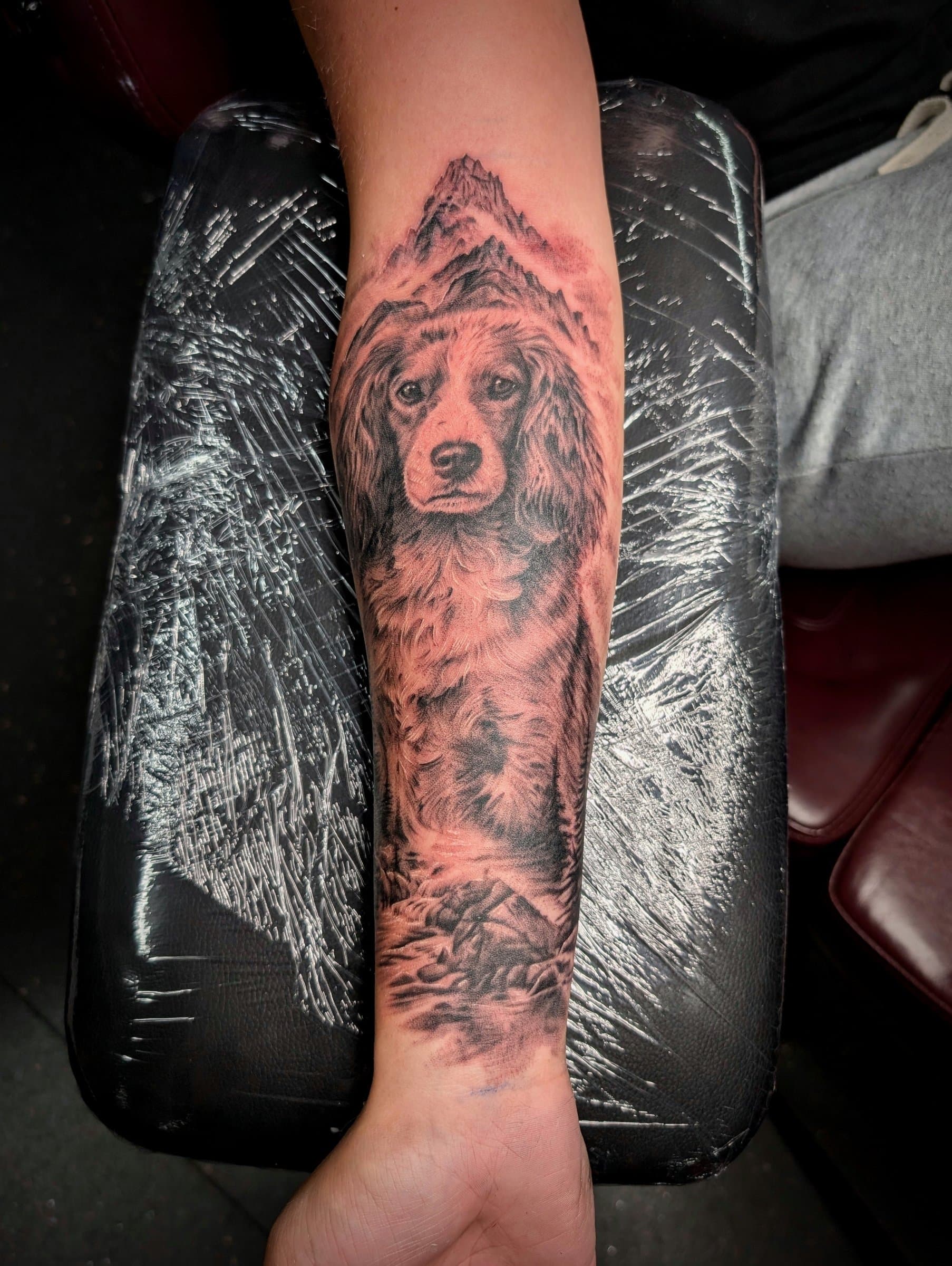 Black and grey realism tattoo of a spaniel dog portrait with mountains on the forearm