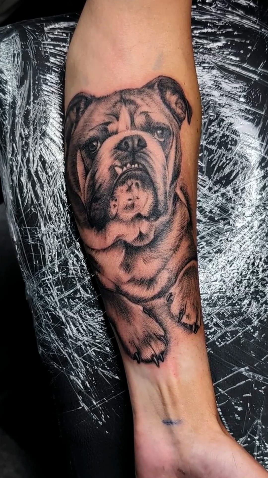 Realistic bulldog portrait forearm tattoo, 4-hour session
